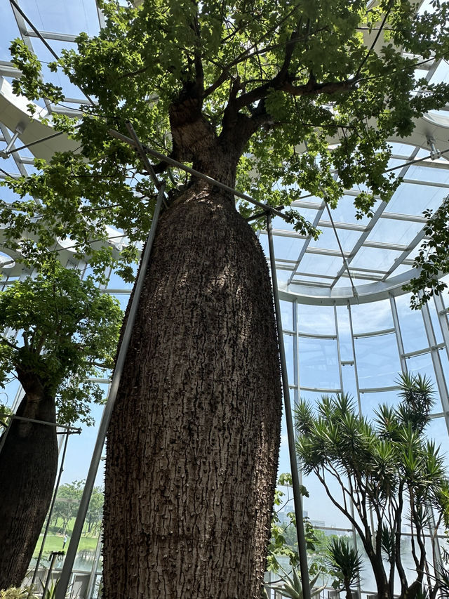 在上海城市裡的祕密仙境 🌈🌺 