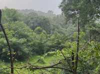 Sanjay Gandhi National Park