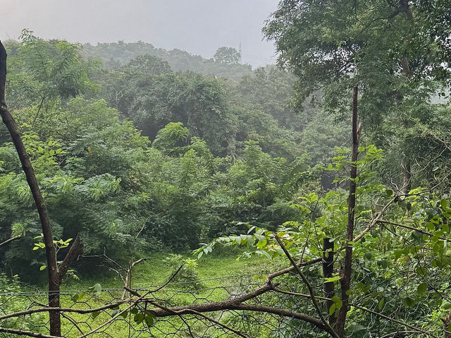 Sanjay Gandhi National Park