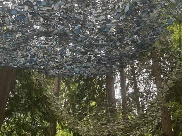 Washington Park Arboretum Washington Park Arboretum