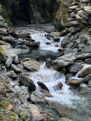 길들여지지 않은 남섬의 야생을 여행하다