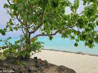 Plage de Matira - It's the Best, truly the Best!