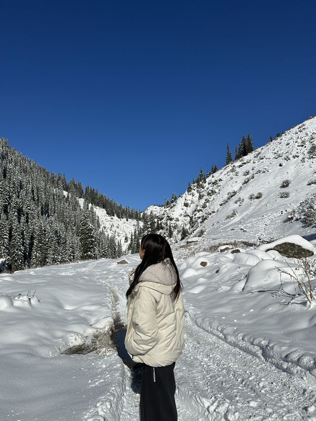 중앙아시아의 스위스, 키르기스스탄 알틴 아라샨! ❄️🏔️