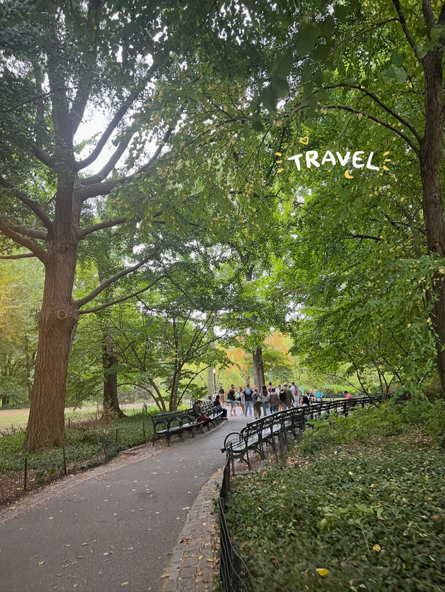 도심 속 자연여행, 센트럴파크 산책