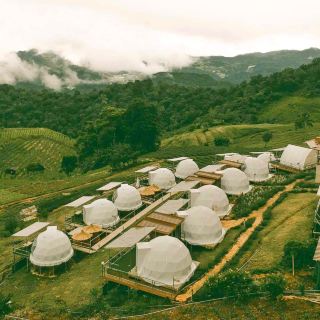 ภูจรัสฟ้า ม่อนแจ่ม