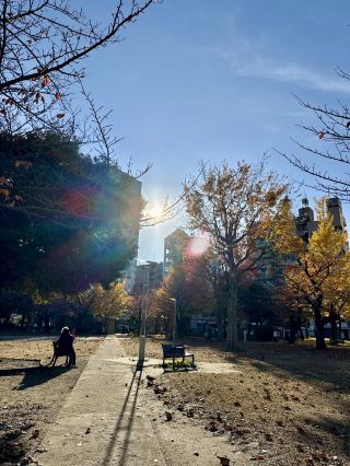 킨시 공원의 가을 색채를 따라가는 유쾌한 산책