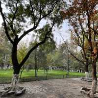🐟 A Peaceful Local Park Beside the City Center