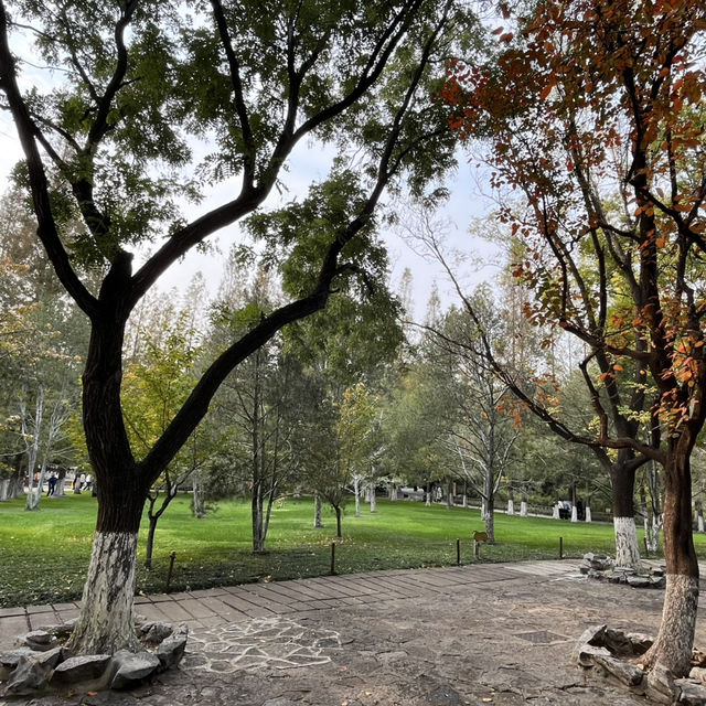 🐟 A Peaceful Local Park Beside the City Center 🐟 A Peaceful Local Park Beside the City Center