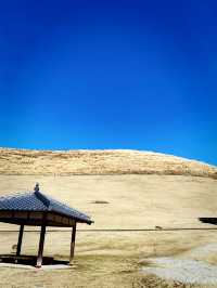 金色草原上的奈良若草山之夢 🌾🌅