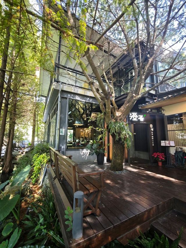 🌲落羽松秘境中的蔬食饗宴#🌿 澄石享自在-臺中市北屯區