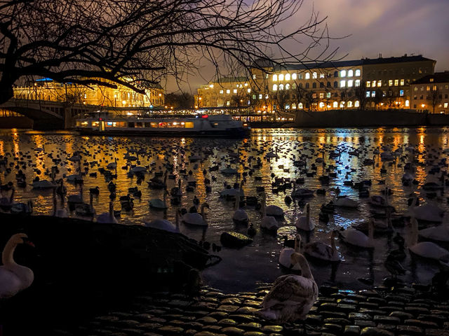 프라하성, 도시 전체를 내려다보는 중세의 시간 프라하성, 도시 전체를 내려다보는 중세의 시간