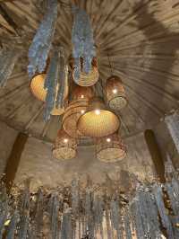 Rainforest Escape🌴