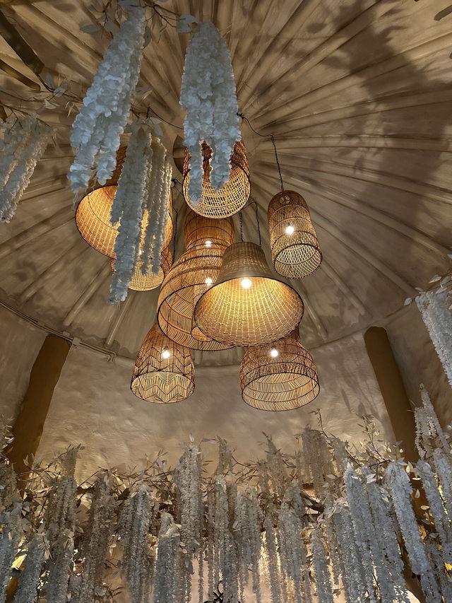 Rainforest Escape🌴 Rainforest Escape🌴