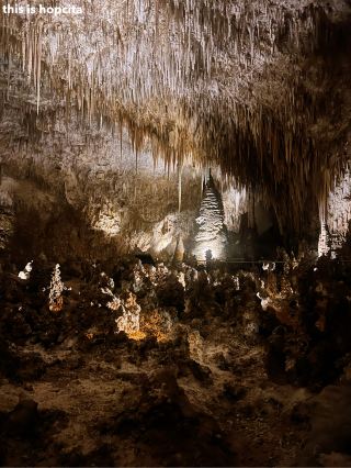 อุทยานแห่งชาติคาร์ลสแบด สถานที่ห้ามพลาดในนิวเม็กซิโก 🦇