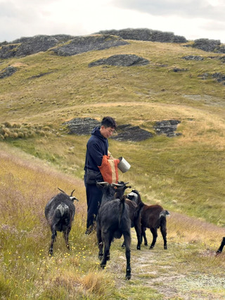 Queenstown’s wild side is calling! 🦙🌲 If you’re in NZ’s adventure capital and want epic views plus a crew of super-cute animals, make your way to Deer Park Heights — it’s just a short drive from central Queenstown, but feels like another world.

Must-See: Deer Park Heights Queenstown  
Address: 432 Peninsula Road, Kelvin Heights, Queenstown 9300, New Zealand  
Hours:  
Dec–Mar: 07:00–21:00  
Apr–Aug: 08:00–18:00  
Sep–Nov: 07:00–20:00  

Here’s what to expect: rolling grasslands, wild wetlands, and panoramic views if it’s a clear day (but honestly, even with the clouds or rain, the scenery is so lush and moody!). Grab your camera — feeding horses and spotting alpacas against the backdrop of Queenstown’s mountains is pure photo gold. Pro tip: book ahead as slots fill fast, especially in peak months — trust me, they really limit how many visitors go up each day, so plan in advance!

Besides horses, you’ll meet friendly deer, cheeky alpacas, furry goats, and more classic animal farm vibes. It’s the perfect chill-out after Queenstown’s adrenaline rush activities.

Getting There: A quick 15-min drive from Queenstown. Parking’s easy. You need a car, though; public transport won’t get you up the hill.

Food: Pack snacks — there aren’t any cafes on site (bring your own!!).

Money/Weather: 2 NZ dollars coin to buy animal food. Tin are provided. Dress for changeable weather — it can switch from sunny to rainy real quick, so pack layers!  

Hashtags: #QueenstownNZ #DeerParkHeights #NZTravel #AnimalAdventure #ScenicViews 