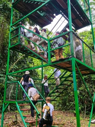 Peruvian Amazon Rainforest Adventure｜Breathtaking Views from a 50-Meter Observation Tower