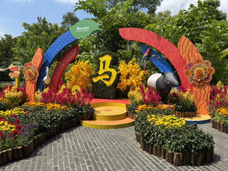 🦜 Dive into a kaleidoscope of nature at Bird Paradise, Singapore’s vibrant avian oasis! Wander through 8 sprawling walk-through aviaries on a colorful adventure that feels like a journey around the globe—each biome teeming with rare birds, lush vegetation, and unique thematic landscapes. Flock in for a day where the skies sing with wings and the earth dazzles in bloom.🌺🦩

Begin your trip with the iconic Wings of the World aviary, where sunlight splashes onto exotic birds and flowers—definitely grab a close-up shot of curious penguins basking in the warmth or perched amidst greenery for that ultimate “nature vision” insta-worthy moment. Walk through the themed habitats: from rainforests to wetlands, every step reveals different species and blooming treasures, perfect for outdoor cultural landscapes and up-close photos of feathery friends.

Must-do experiences: Join interactive feeding sessions, pause at the waterfall overlook, and seek out the building close-ups for architectural contrast against the wild. For maximum enjoyment, visit during mornings for gentler crowds and golden light. If rain clouds roll in, don’t fret! Sheltered walkways let you keep exploring—the weather only adds drama to your snapshots.

Essentials: Bird Paradise is open daily (except for special hours), with admission ending at 17:00. Comfortable shoes are a must (lots of walking!). Bring a water bottle, sunscreen, and a compact rain jacket for Singapore’s changeable weather. There’s water dispenser around the park so stay hydrated ! The free shuttle from the man entrance - Shuttle Station 1 stop at the central plaza - Shuttle Station 2 (where the show are located) 

Precautions: Some aviaries might get busy—start early and follow park staff’s guidance on feeding etiquette to respect the birds. Keep your camera handy; the action moves fast. Weather can be hot so remember to prepare your handled fan.  

#Singapore #BirdParadise #MandaiWildlifeReserve #NatureEscape #ColorfulAdventure
