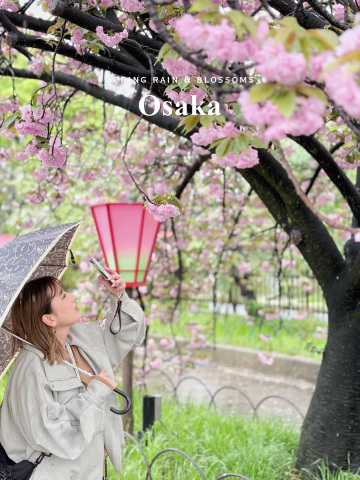 雨の日の桜もまたええやん🌸☔️ ／ | Trip.com 大阪