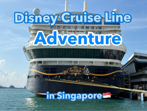 憧れのディズニークルーズ🚢✨アドベンチャー号がおすすめです