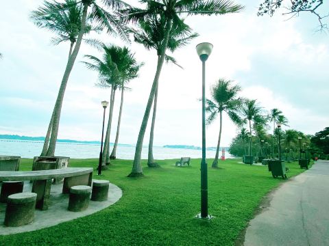 大きな木の下で。 | Trip.com シンガポール