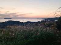 สัมผัสธรรมชาติรอบตัวและชมนกนานาพันธุ์@Saeseom Island,Jeju Isliand