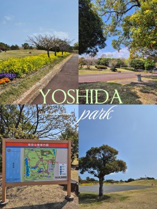 🌿 A Peaceful Afternoon in Shizuoka, Yoshida Park 🌿