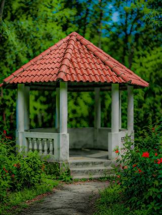ธรรมชาติแห่งซิลเหต: ทริปในฝันที่บังกลาเทศ 🌿