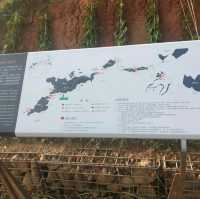 Xiamen home of beauty 