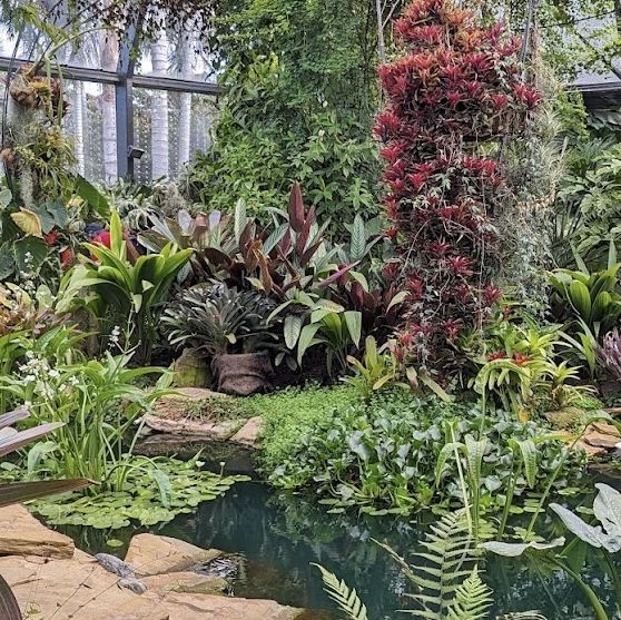 Bogotá Botanical Garden José Celestino 