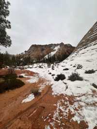 Zion, Landscapes you have to see to believe! 