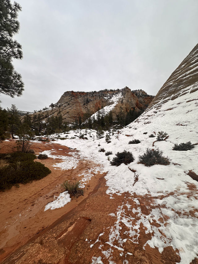 Zion, Landscapes you have to see to believe! 