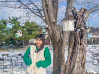 🏕️가평 글램핑 여행 기록! - 청춘 글램핑&카라반🏕️