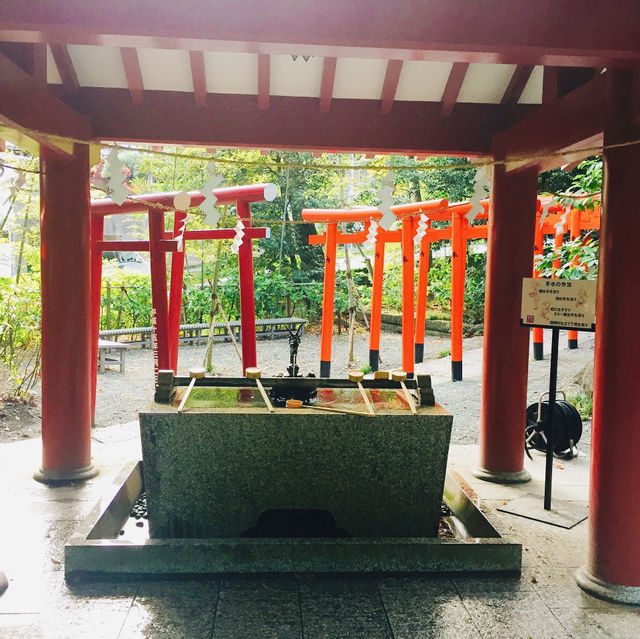【静岡県🇯🇵熱海】パワースポットで運気アップ☺️マイナスイオンに癒されながらリフレッシュ時間