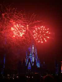 Attractions to visit in Walt Disney World Resort