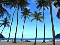 Tropical Escape at Maracas Beach - A must-visit !