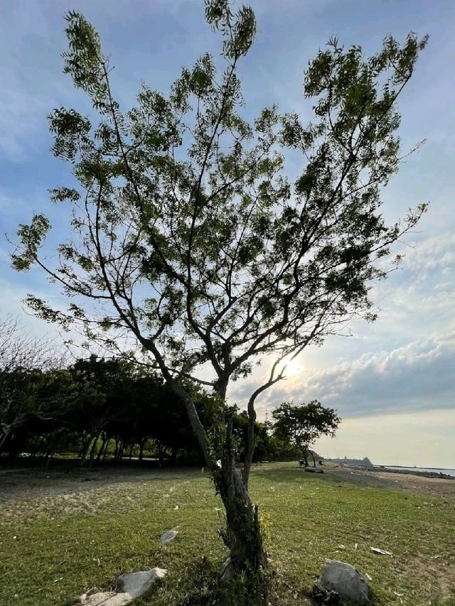司馬威烏戎巴泰海灘