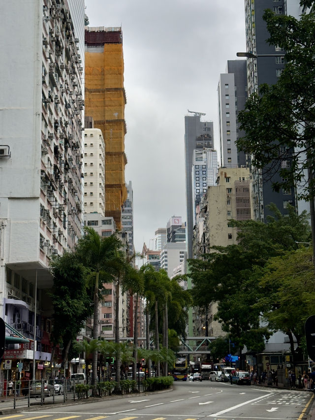 Just a chill plan in Hongkong