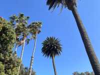 Los Angeles Love