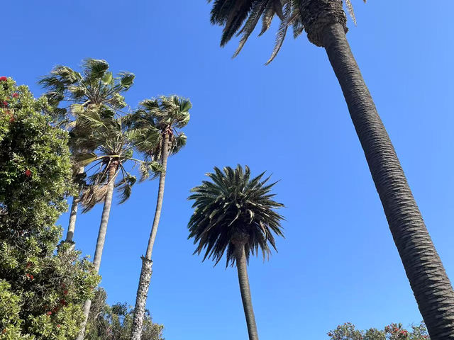 Los Angeles Love