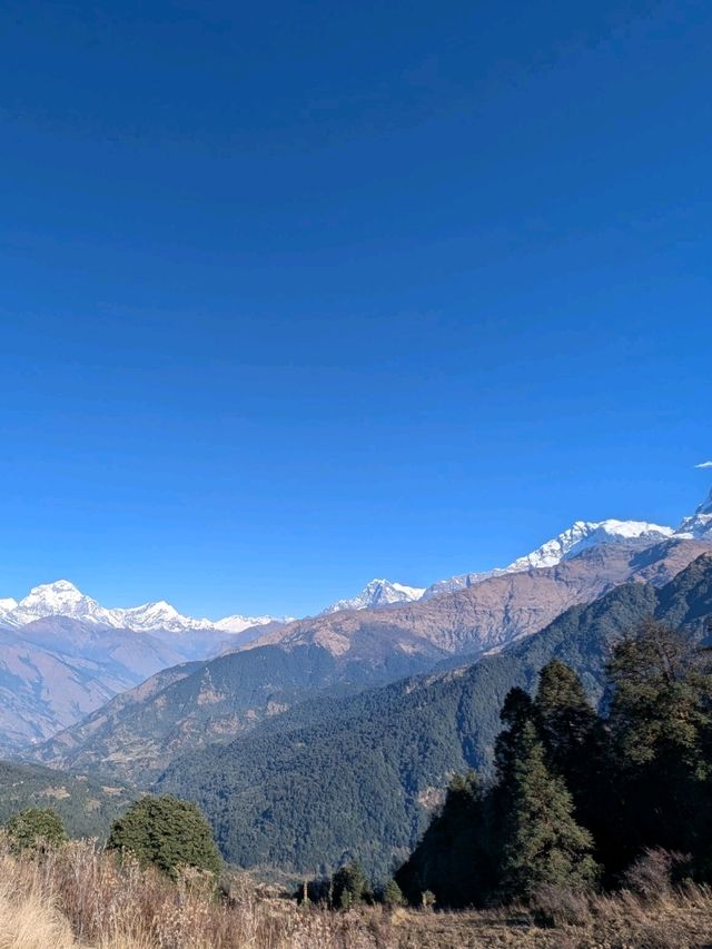 Once in a Lifetime trip to Annapurna Once in a Lifetime trip to Annapurna