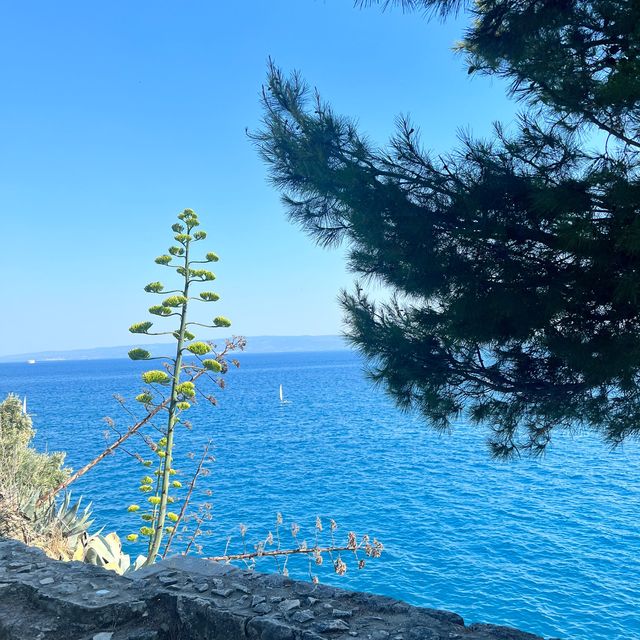 Sustipan Park - Split