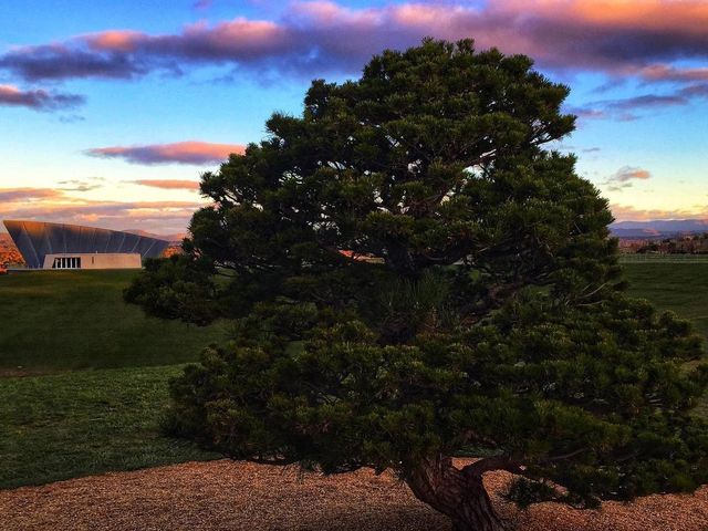 National Arboretum Canberra 🇦🇺