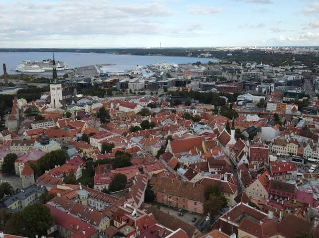 愛沙尼亞🇪🇪景點-Patkuli viewing platform