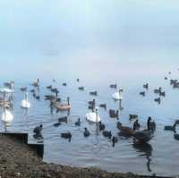 獲獎的Blackleach Country Park