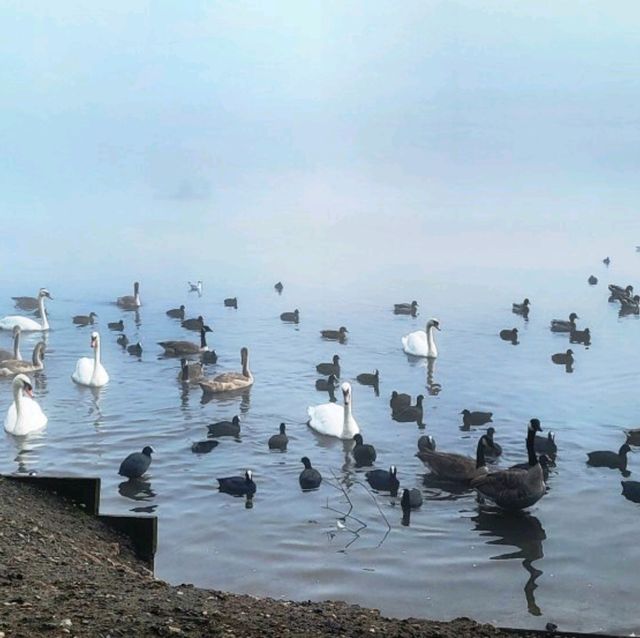 獲獎的Blackleach Country Park