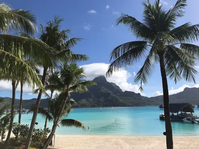 Serene Beach Bliss