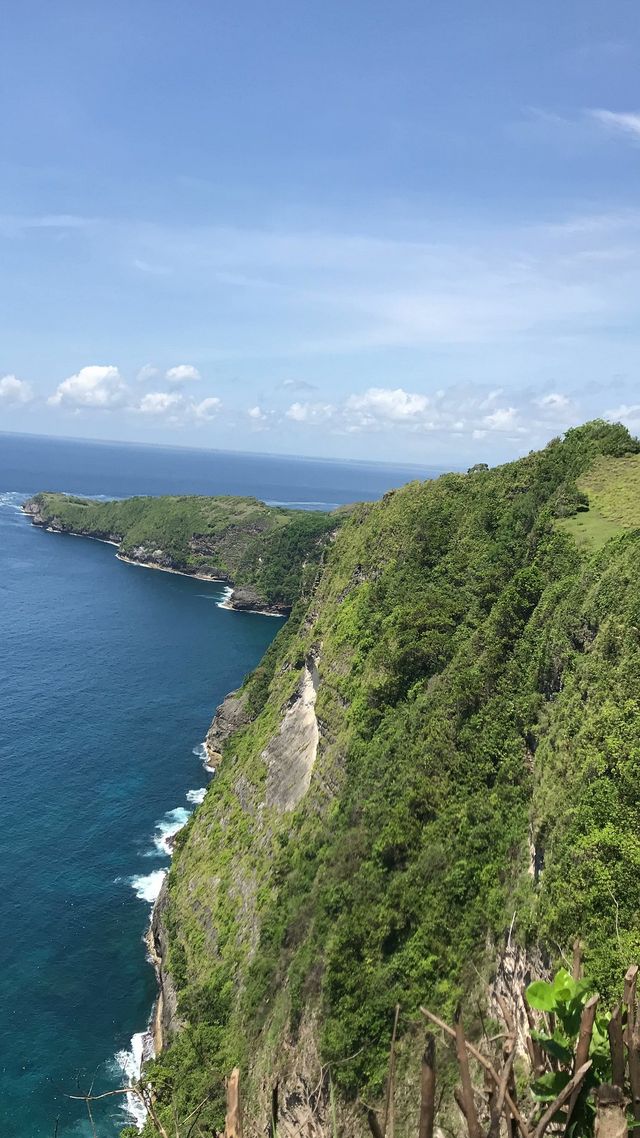 Hidden Gem in the Tropics