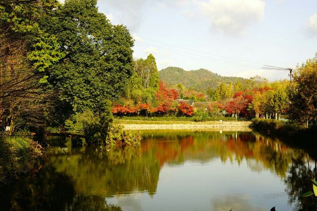 Autumn Splendor in Kyoto