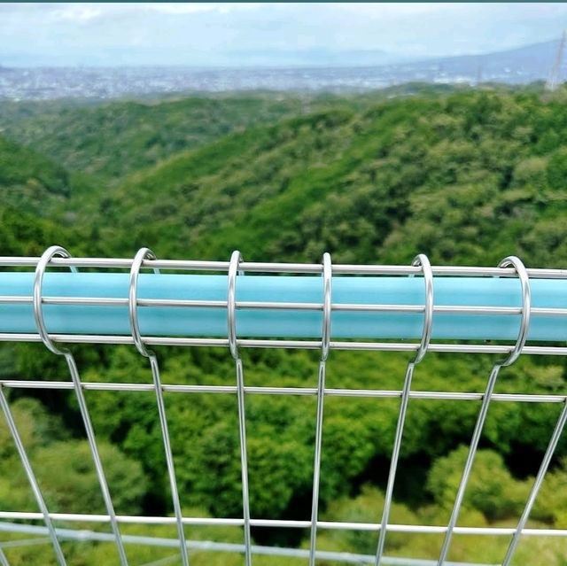 《三島天空步道》🌸 日本最長的人工吊橋🌸