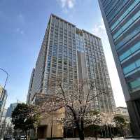 🌸東京芝賽萊斯廷酒店🌸可以散步到東京鐵塔